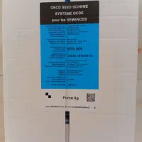 بذر چغندر BTs505 بتاسید