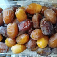 فروش رطب تازه به قیمت عمده در داراب