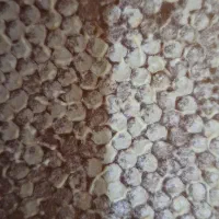 عسل فوق اعلا درجه یک