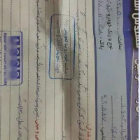 پژو ۲۰۶ تیپ ۲|خودرو سواری و وانت|مشهد, اسماعیل آباد|دیوار