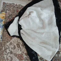 کاپشن دخترانه|لباس|کرمانشاه, |دیوار