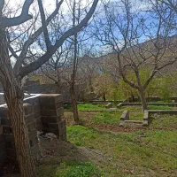 باغچه-در-روستای-خوش-آب-و-هوا-وسرسبز-فوجرد
