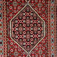 4عدد پادری زیبا و سالم