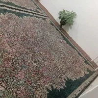 فرش ۱۲متری مایل ب معاوضعم هستم|فرش|ماهیدشت, |دیوار