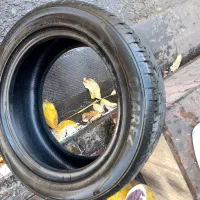 لاستیک ۱۶. ب۲۰۵ بارز|قطعات یدکی و لوازم جانبی|آفتاب, |دیوار