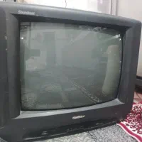 تلویزیون