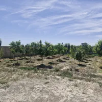 باغ وباغچه/چهاردیوارقدیمی/کاسبی هشتگرد|فروش زمین و ملک کلنگی|تهران, سعیدآباد|دیوار