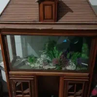 لوازم منزل|جاروبرقی، جارو شارژی، بخارشو|میانه, |دیوار