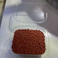 غذای رنگ ماهی