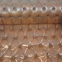 چستر ۳ نفره|مبلمان خانگی و میز عسلی|تهران, دریان‌نو|دیوار