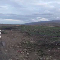 ملک بر جاده بیستون