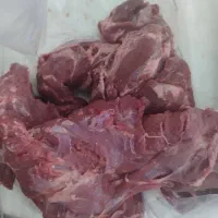 گوشت گرم گوساله