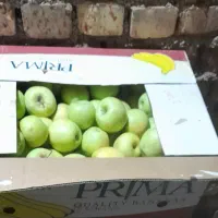 سیب نیشابور