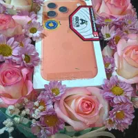 جشنواره  انواع گوشی  فلاح