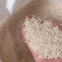 برنج طارم هاشمی
