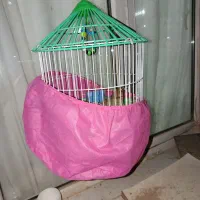 سهره