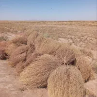 جارو محلی|لوازم نظافت|سبزوار, شهرک صنعتی خاوران|دیوار