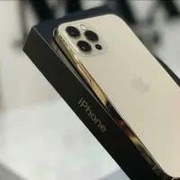 ۱۲پرومکس طلایی