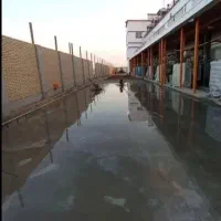 خدمات بتن ریزی ماله پروانه/کاتر/آرماتوربندی/صیقل|خدمات پیشه و مهارت|اصفهان, گلزار|دیوار