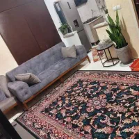 40-متر-سرمایه-گذاری-قصرالدشت-مرتضوی