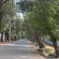 باغ-ویلا-باغچه-زمین-لشگرآباد-درختی-سهیلیه-کردان