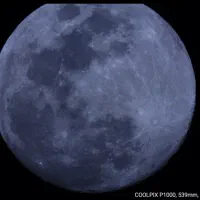 دوربین سوپرزوم نیکون P1000 با 125X زوم|دوربین عکاسی و فیلمبرداری|بندرعباس, |دیوار