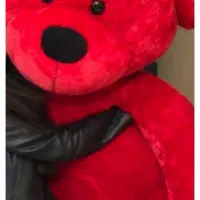 عروسک ولنتاین کادویی در حد نو