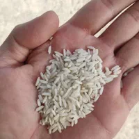 برنج عنبربو شوشتر|خوردنی و آشامیدنی|تهران, شهرک دانشگاه شریف|دیوار