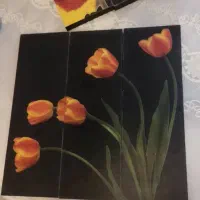 تابلوهای نقاشی و عکس های نقاشی و قلمو نقاشی
