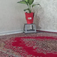 صندلی چهارپایه پیش ساخته گالوانیزه مخصوص حمام|صندلی و نیمکت|اصفهان, عطار نیشابوری|دیوار