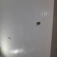 نقاشی ساختمان.پتینه کاری،نقاشی کناف.|خدمات پیشه و مهارت|مرودشت, تامین اجتماعی|دیوار