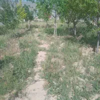 فروش زمین با استخر در روستای باغان با سند ششدانگ|فروش زمین و ملک کلنگی|شیروان (خراسان), |دیوار