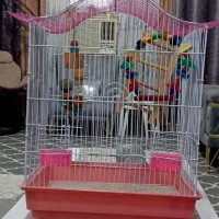 قفس پرنده  قشنگ با وسایل ۱/۳۰۰