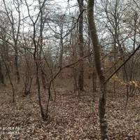 تور گردشگری