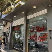 استخدام خانم جهت مشاور املاک با سابقه، بدون سابقه