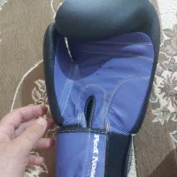 دستکش بوکس|تجهیزات ورزشی|رشت, یخسازی|دیوار