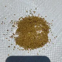 بذر یونجه