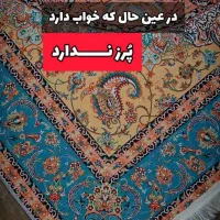 خودت فرشت طراحی کن با هر اندازه که میخای|فرش|شیراز, باهنر|دیوار