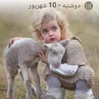 کار در منزل آقایان مزاحم نشوید