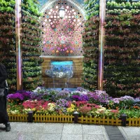 گمشده