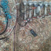 بوق پاکستانی 6لول در حد