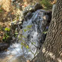 زمین-باغ-واقع-در-بهترین-جای-شهران