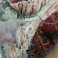 دستباف پشمی حیف ناقص