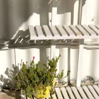 شلف و قفسه چوبی بزرگ|کتابخانه، شلف، قفسههای دیواری|اردبیل, |دیوار