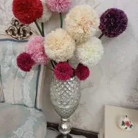 کنارسالنی زیبا