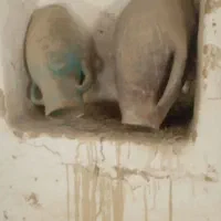 دوغزنباپوستگاوهودوعددکوزهسفالی