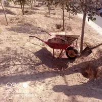 خدمات باغبانی.چالکود .ویزیت وسمپاشی پاییزی بیل زنی|خدمات باغبانی و درختکاری|تبریز, |دیوار