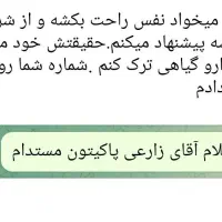 فقط در 3 روز|گردهمایی و همایش|جیرفت, |دیوار