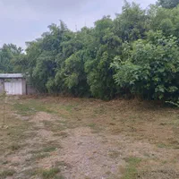 اجاره روزانه خونه روستایی|اجارهٔ کوتاهمدت ویلا و باغ|کوچصفهان, |دیوار