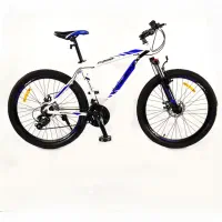 دوچرخه فونیکس zk200